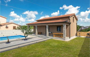 Awesome home in Nedescina with Outdoor swimming pool, WiFi and 2 Bedrooms